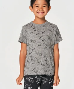 Chaser Boys Dino Jam SS Crew Neck Tee Streaky Grey