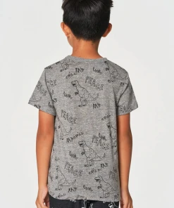 Chaser Boys Dino Jam SS Crew Neck Tee Streaky Grey